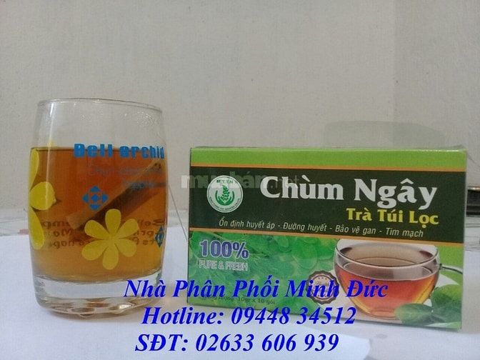 Nơi Cấp Trà Túi Lọc Gía Rẻ Tại Đà Lạt 45108497 Nơi Cấp Trà Túi Lọc Gía Rẻ Tại Đà Lạt