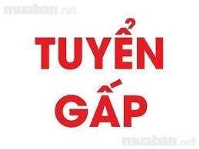 Nhà 3 tầng có cầu thang máy ,cần tìm gấp một bác giúp việc 45147558 Nhà 3 tầng có cầu thang máy ,cần tìm gấp một bác giúp việc