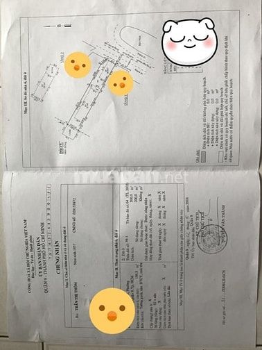 Nhà mặt tiền Hồ Thị Tư, đối diện nhà văn hóa thiếu nhi, DT 231m, 45129518 Nhà mặt tiền Hồ Thị Tư, đối diện nhà văn hóa thiếu nhi, DT 231m,