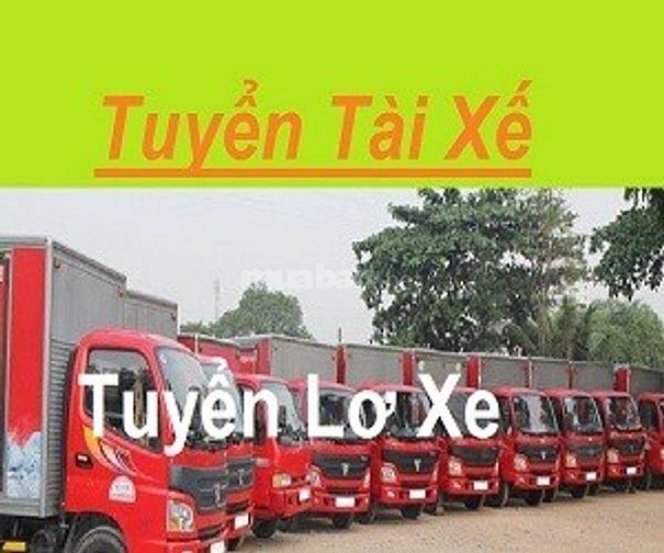 Tuyển Tài Xế, Lơ Xe và Nam Nữ Phụ Kho Đóng Gói Bánh kẹo tại Siêu Thị 41086305 Tuyển Tài Xế, Lơ Xe và Nam Nữ Phụ Kho Đóng Gói Bánh kẹo tại Siêu Thị