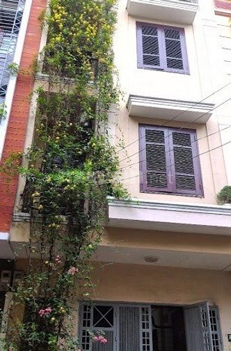 Cho thuê nhà khu biệt thự 130 phố Đốc Ngữ, phường Vĩnh Phúc 45594834 Cho thuê nhà khu biệt thự 130 phố Đốc Ngữ, phường Vĩnh Phúc