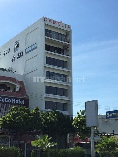 Văn phòng cho thuê thế hệ mới Camelia Đà Nẵng. 45598797 Văn phòng cho thuê thế hệ mới Camelia Đà Nẵng.