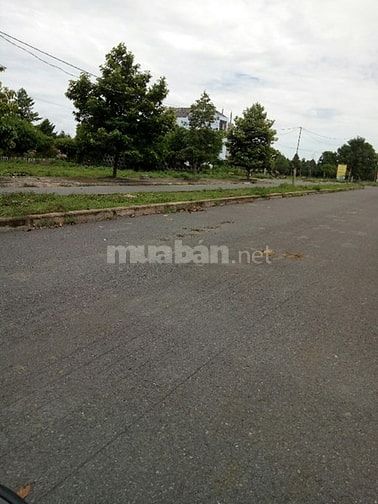 Đất chính chủ trung tâm TP Tân An 160m2 giá 500 triệu/lô 45591603 Đất chính chủ trung tâm TP Tân An 160m2 giá 500 triệu/lô