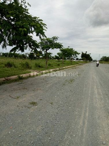 Đất chính chủ trung tâm TP Tân An 160m2 giá 500 triệu/lô 45591603 Đất chính chủ trung tâm TP Tân An 160m2 giá 500 triệu/lô