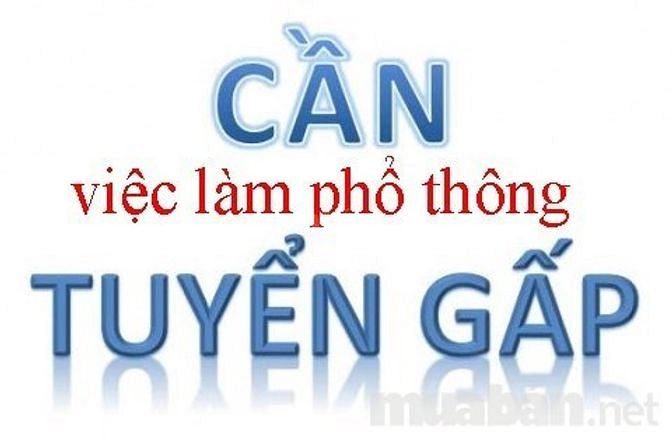 Cần gấp 10 nhân viên hướng dẫn khách tại chi nhánh 45129198 Cần gấp 10 nhân viên hướng dẫn khách tại chi nhánh