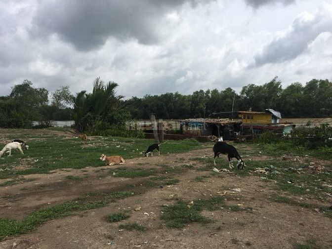 C/chủ bán đất Bình Chánh 2MT, thích hợp xây kho bãi hoặc Villa. 45896808 C/chủ bán đất Bình Chánh 2MT, thích hợp xây kho bãi hoặc Villa.