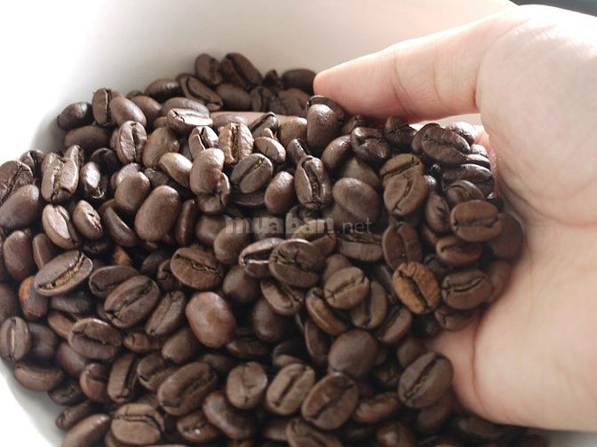 Cà phê hạt Arabica rang mộc cao cấp xuất khẩu 39291904 Cà phê hạt Arabica rang mộc cao cấp xuất khẩu