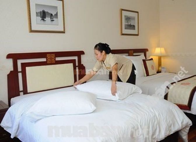 Nữ cần tìm việc tạp vụ khách sạn,nhà hàng,quán ăn làm ăn ở lại 46346668 Nữ cần tìm việc tạp vụ khách sạn,nhà hàng,quán ăn làm ăn ở lại