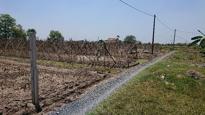 Đất vườn nhánh T14, 1.220m2 (17,5x70) giá 3 tỷ TL, SH, Tân Quý Tây, BC 43403425 Đất vườn nhánh T14, 1.220m2 (17,5x70) giá 3 tỷ TL, SH, Tân Quý Tây, BC