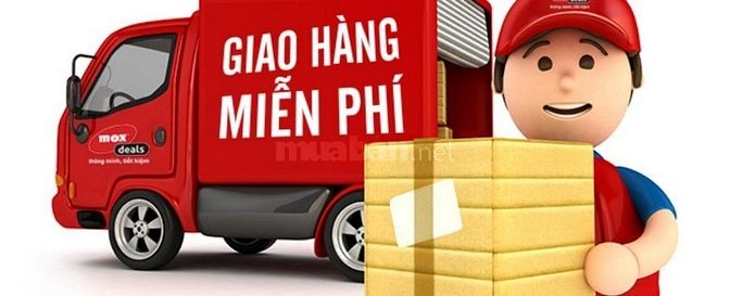 Tuyển Gấp 2 Nhân Viên Giao Nhận 46397084 Tuyển Gấp 2 Nhân Viên Giao Nhận
