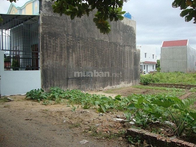 Bán dất TL10,Đức Hòa Long An,125m2,shr,xdtd 46384051 Bán dất TL10,Đức Hòa Long An,125m2,shr,xdtd