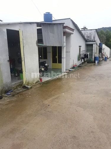 Cần Bán Nhà 2 Mặt tiền Huyện Phú Quốc Tỉnh Kiên Giang 46173630 Cần Bán Nhà 2 Mặt tiền Huyện Phú Quốc Tỉnh Kiên Giang