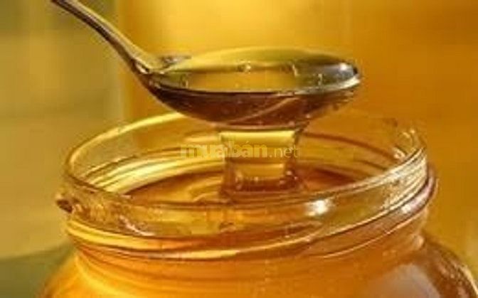 Chuyên cung cấp mật ong nhãn - mật ong cao su sĩ và lẽ giá tận gốc 46534258 Chuyên cung cấp mật ong nhãn - mật ong cao su sĩ và lẽ giá tận gốc