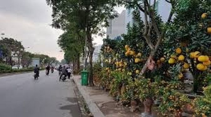 Cho thuê mặt tiền đường An Dương Vương, Q6 46580171 Cho thuê mặt tiền đường An Dương Vương, Q6