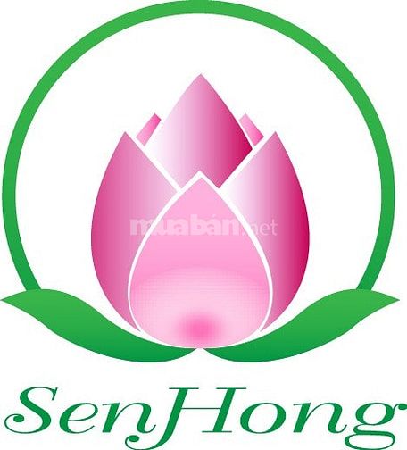 Cty Sen Hồng chuyên cho thuê ô tô đời mới tự lái, có tài tại Bình Tân 46874528 Cty Sen Hồng chuyên cho thuê ô tô đời mới tự lái, có tài tại Bình Tân