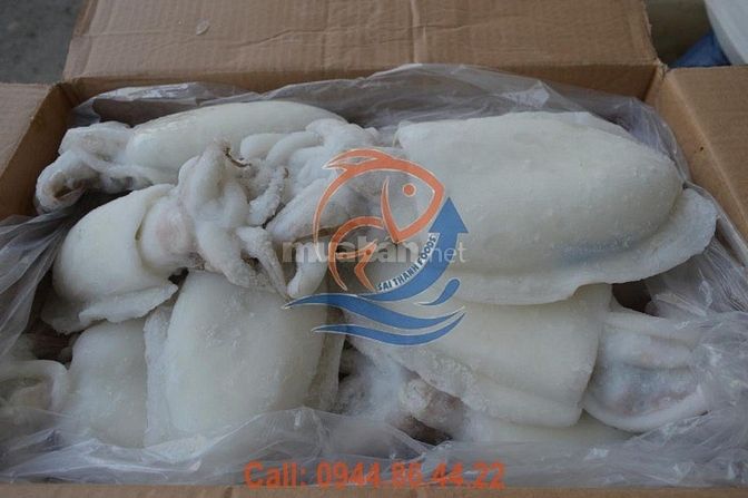 Cung cấp sỉ và lẻ các loại thủy hải sản cấp đông chất lượng 46958031 Cung cấp sỉ và lẻ các loại thủy hải sản cấp đông chất lượng