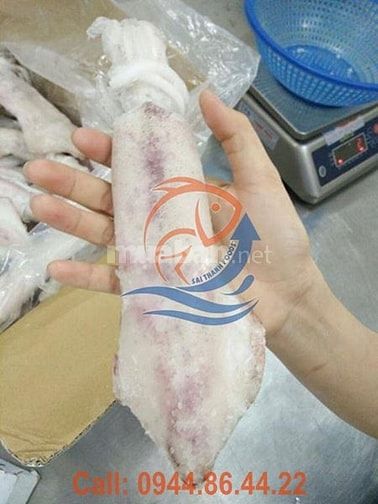 Cung cấp sỉ và lẻ các loại thủy hải sản cấp đông chất lượng 46958031 Cung cấp sỉ và lẻ các loại thủy hải sản cấp đông chất lượng