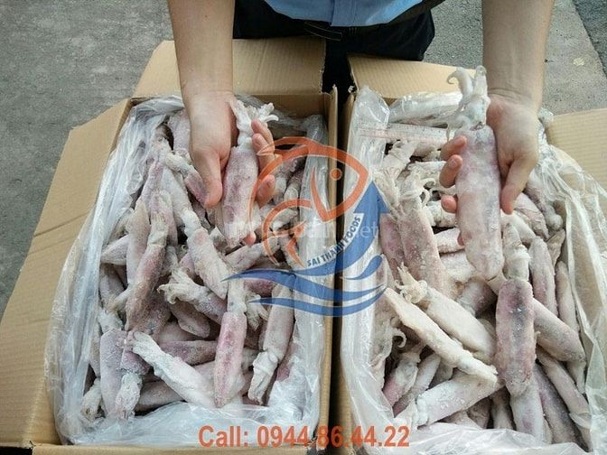 Cung cấp sỉ và lẻ các loại thủy hải sản cấp đông chất lượng 46958031 Cung cấp sỉ và lẻ các loại thủy hải sản cấp đông chất lượng