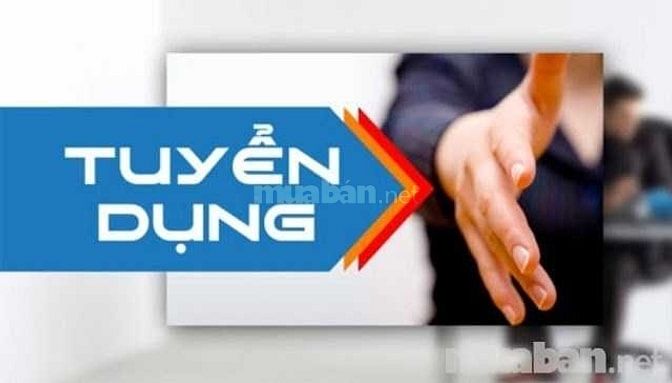 Cần gấp 02 nhân viên kế toán làm việc tại chi nhánh 47058418 Cần gấp 02 nhân viên kế toán làm việc tại chi nhánh