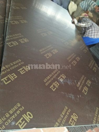 Ván ép chịu nước cốp pha phủ phim thanh lý giá rẻ 47252530 Ván ép chịu nước cốp pha phủ phim thanh lý giá rẻ