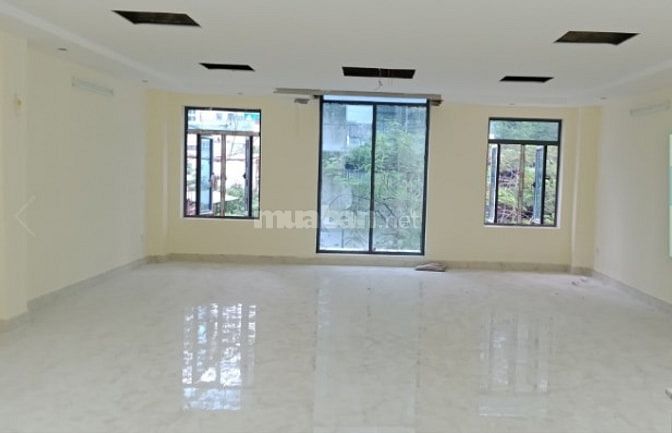 Văn phòng đẹp mặt phố Trần Quốc Toản, DT 40m2, 55m2, 100m2 47563376 Văn phòng đẹp mặt phố Trần Quốc Toản, DT 40m2, 55m2, 100m2