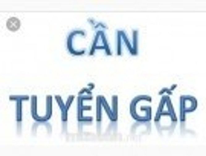 Tuyển nhân viên marketing tại văn phòng 47696155 Tuyển nhân viên marketing tại văn phòng