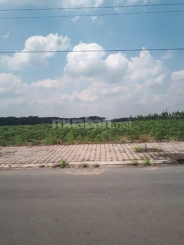 Đất Chơn Thành Bình phước 600 m2 giá chỉ 360 triệu 47737773 Đất Chơn Thành Bình phước 600 m2 giá chỉ 360 triệu
