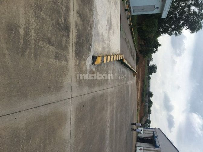 Cho thuê kho chứa nguyên liệu SX tại KCN Nhơn Trạch - Đồng Nai 47965483 Cho thuê kho chứa nguyên liệu SX tại KCN Nhơn Trạch - Đồng Nai