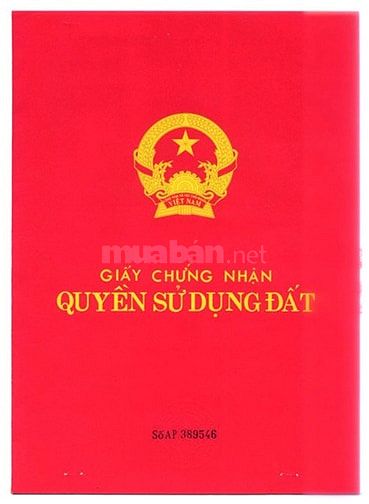 Bán căn hộ chung cư phố Lê Ngọc Hân 84m2 sổ đỏ chính chủ 47969901 Bán căn hộ chung cư phố Lê Ngọc Hân 84m2 sổ đỏ chính chủ