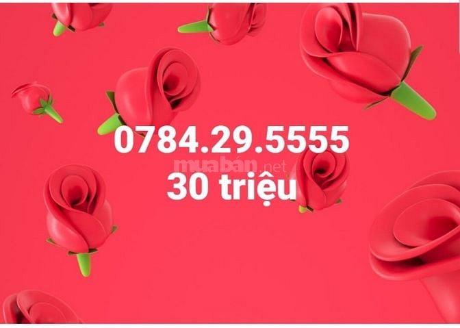 Thanh lý em sim trả trước tứ quý 5 48032796 Thanh lý em sim trả trước tứ quý 5