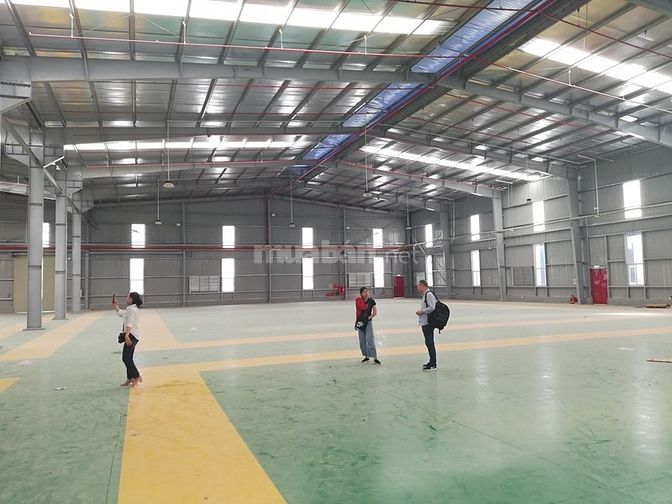 Cần cho thuê kho KCN Long Hậu. DT 1.100m2. Giá 80.000đ/m2 48065282 Cần cho thuê kho KCN Long Hậu. DT 1.100m2. Giá 80.000đ/m2