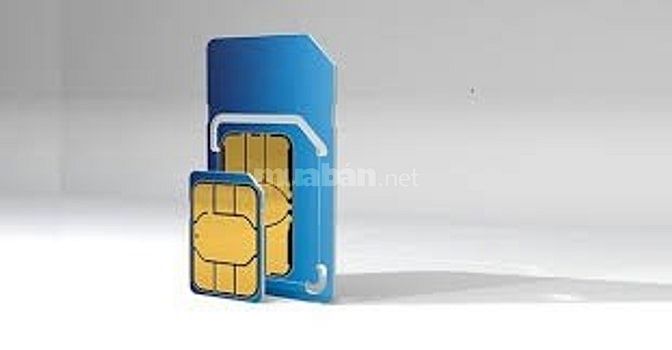 Bán sim của nhà mạng Vinaphone làm Hotline 48051068 Bán sim của nhà mạng Vinaphone làm Hotline