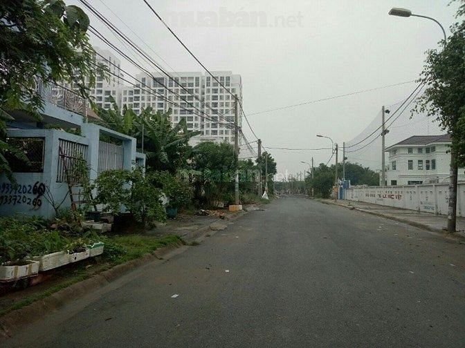 Chính Chủ Bán Lô Đất Ở Chơn thành, Bình Phước, Nằm Trong Tái Định Cư 8 48055147 Chính Chủ Bán Lô Đất Ở Chơn thành, Bình Phước, Nằm Trong Tái Định Cư 8