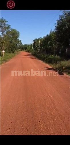 Bán 4,1ha cao su đẹp mới cạo năm 2 giá 2,95 tỷ 48142493 Bán 4,1ha cao su đẹp mới cạo năm 2 giá 2,95 tỷ