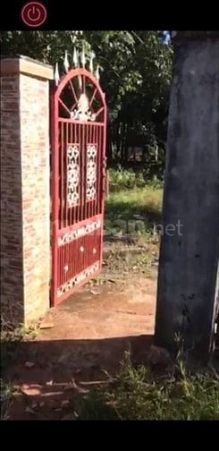 Bán 4,1ha cao su đẹp mới cạo năm 2 giá 2,95 tỷ 48142493 Bán 4,1ha cao su đẹp mới cạo năm 2 giá 2,95 tỷ