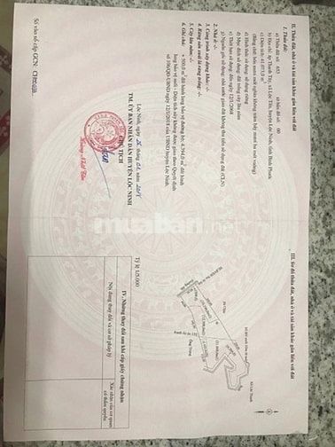 Bán 4,1ha cao su đẹp mới cạo năm 2 giá 2,95 tỷ 48142493 Bán 4,1ha cao su đẹp mới cạo năm 2 giá 2,95 tỷ