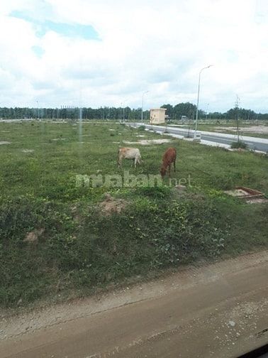 Cần tiền cho con đi nước ngoài bán đất mặt tiền QL 13,SHR 48222350 Cần tiền cho con đi nước ngoài bán đất mặt tiền QL 13,SHR