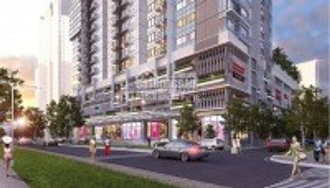 Shop House Quận 7 Jamona Đào Trí phục vụ 1300 căn hộ 500 nhà phố biệt 48373919 Shop House Quận 7 Jamona Đào Trí phục vụ 1300 căn hộ 500 nhà phố biệt