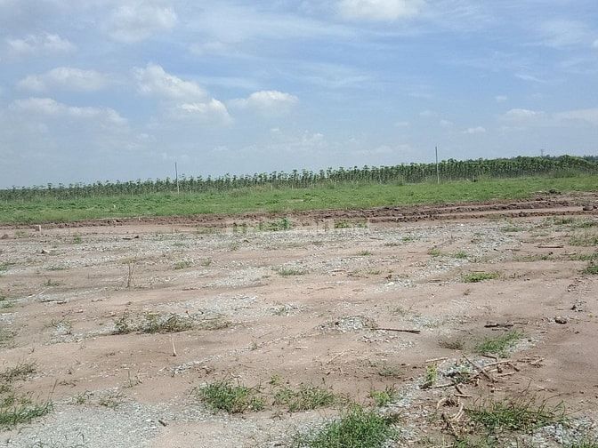 Bán đất nền BÌNH PHƯỚC sổ hồng riêng giá chỉ 435 triệu ( 200m2) 48551024 Bán đất nền BÌNH PHƯỚC sổ hồng riêng giá chỉ 435 triệu ( 200m2)