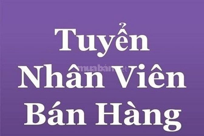 Tuyển nữ nhân viên bán hàng đại lý bánh kẹo, ở khu Cầu Giấy 48666481 Tuyển nữ nhân viên bán hàng đại lý bánh kẹo, ở khu Cầu Giấy