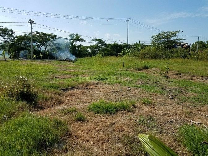 Đất mặt tiền Bùi Văn Sự, Quy Đức, Bình Chánh, 15.6*35.5m, 3ty8 48765917 Đất mặt tiền Bùi Văn Sự, Quy Đức, Bình Chánh, 15.6*35.5m, 3ty8