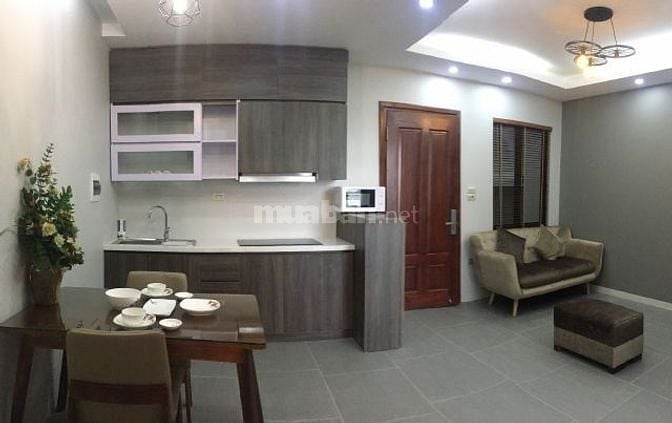Cho thuê căn hộ cao cấp, mặt tiền Điện Biên Phủ, Bình Thạnh, sát Q.1 48802140 Cho thuê căn hộ cao cấp, mặt tiền Điện Biên Phủ, Bình Thạnh, sát Q.1