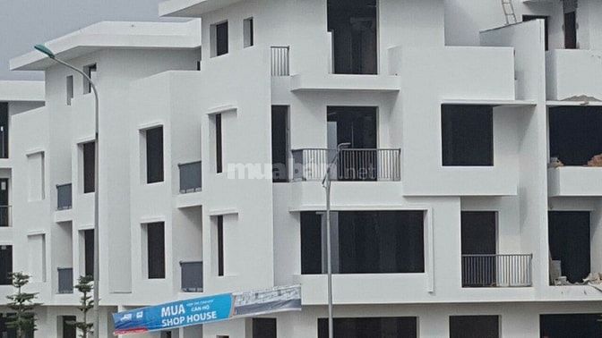 Nhà phố shophouse mặt tiền 6,5m. 4 tầng kinh doanh khủng 48800975 Nhà phố shophouse mặt tiền 6,5m. 4 tầng kinh doanh khủng