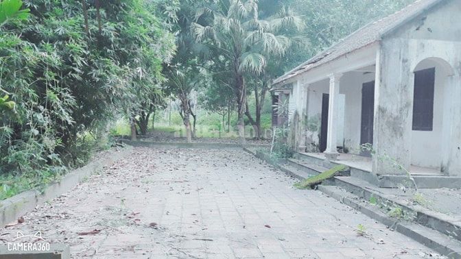 Cần bán gấp lô đất có diện tích 8000m view đẹp xã cư yên 48897934 Cần bán gấp lô đất có diện tích 8000m view đẹp xã cư yên