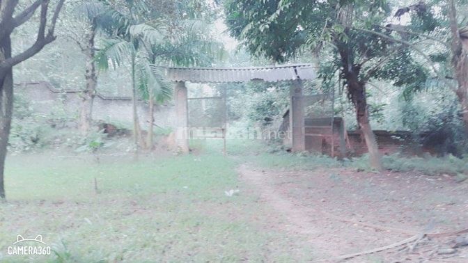 Cần bán gấp lô đất có diện tích 8000m view đẹp xã cư yên 48897934 Cần bán gấp lô đất có diện tích 8000m view đẹp xã cư yên