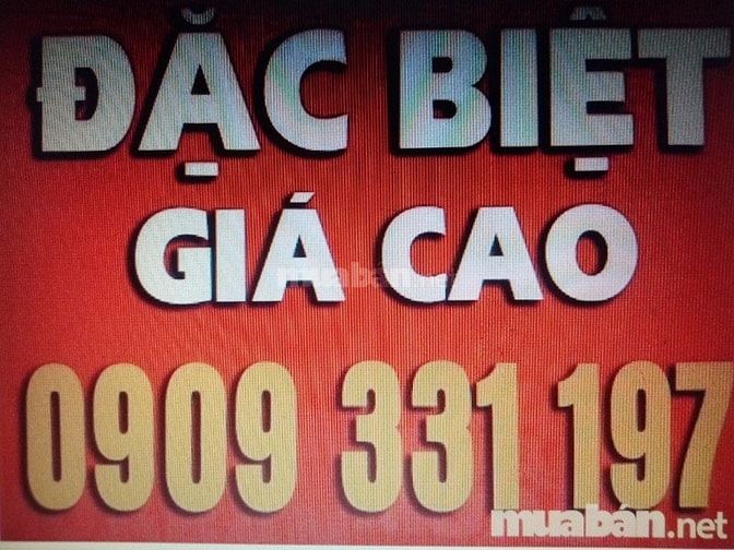 Cần mua xe 2-4 bánh sử dụng kinh doanh giá cao 48933028 Cần mua xe 2-4 bánh sử dụng kinh doanh giá cao