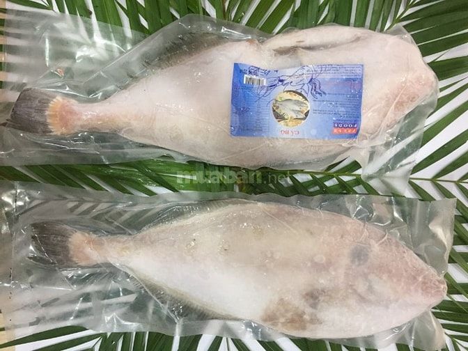 Cung cấp sỉ và lẻ các loại thủy hải sản cấp đông chất lượng 46958031 Cung cấp sỉ và lẻ các loại thủy hải sản cấp đông chất lượng