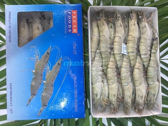 Cung cấp sỉ và lẻ các loại thủy hải sản cấp đông chất lượng 46958031 Cung cấp sỉ và lẻ các loại thủy hải sản cấp đông chất lượng