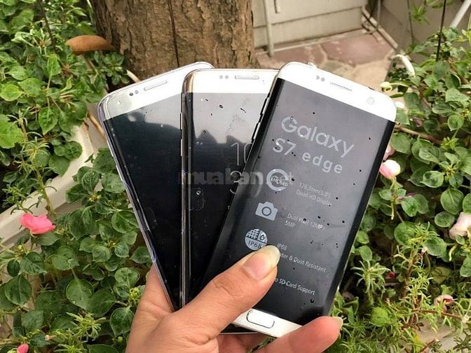 Samsung Galaxy S7 EDGE 2 sim New 100% ko hộp 49054052 Samsung Galaxy S7 EDGE 2 sim New 100% ko hộp
