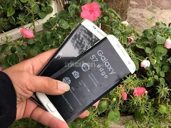 Samsung Galaxy S7 EDGE 2 sim New 100% ko hộp 49054052 Samsung Galaxy S7 EDGE 2 sim New 100% ko hộp